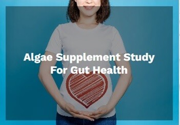 Algae Supplement Study for Gut Health