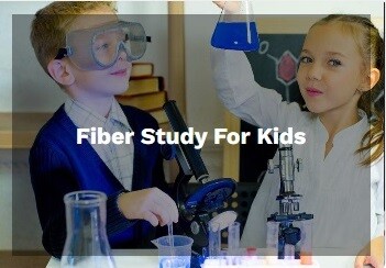 Fiber Study for Kids