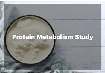 protein-study